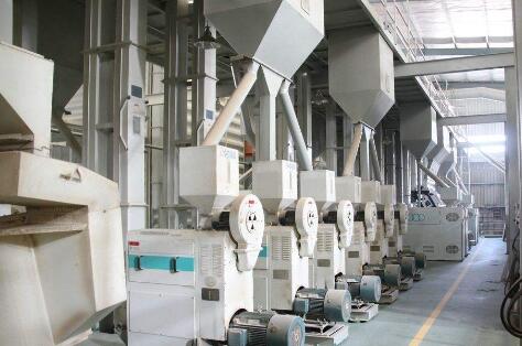 小麥制粉設備加工過程中要遵循哪些原則(圖1) 小麥制粉設備加工過程中要遵循哪些原則(圖1)