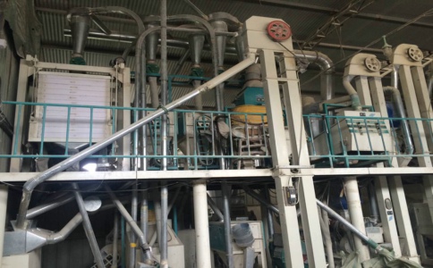 開封奧盛機械廠家玉米加工機械優(yōu)勢體現(xiàn)在哪些方面(圖1) 開封奧盛機械廠家玉米加工機械優(yōu)勢體現(xiàn)在哪些方面(圖1)