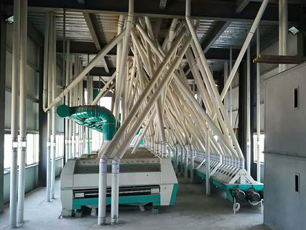 小麥制粉設(shè)備廠(chǎng)家制粉前儲(chǔ)存過(guò)程中注意事項(xiàng)(圖1) 小麥制粉設(shè)備廠(chǎng)家制粉前儲(chǔ)存過(guò)程中注意事項(xiàng)(圖1)