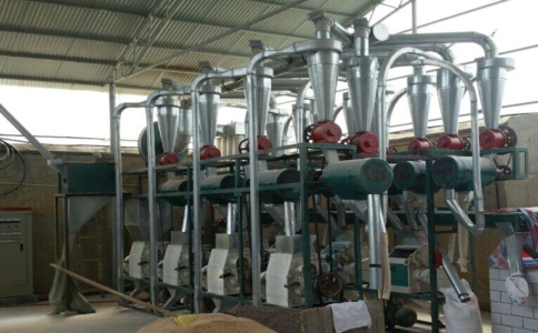 15噸面粉加工設(shè)備 15噸面粉加工設(shè)備