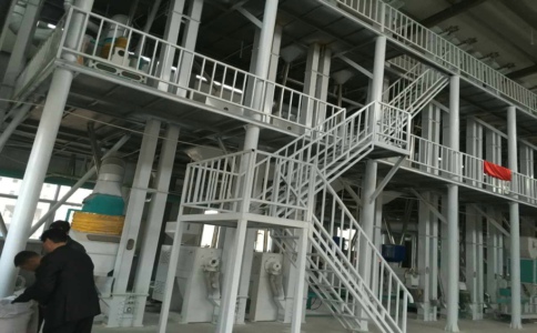 玉米加工廠家使用小型玉米加工機(jī)械有哪些優(yōu)勢呢?(圖1) 玉米加工廠家使用小型玉米加工機(jī)械有哪些優(yōu)勢呢?(圖1)